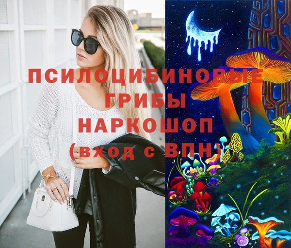 гашик Балахна