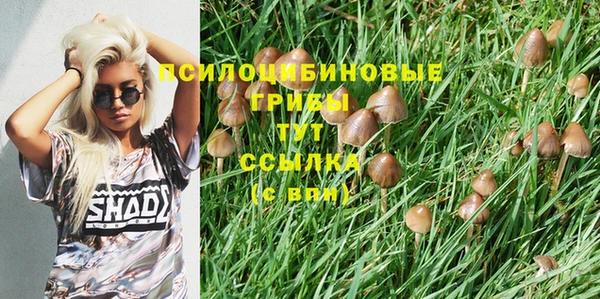 гашик Балахна
